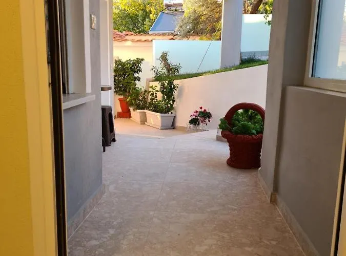 Daire Loridis View Prínos