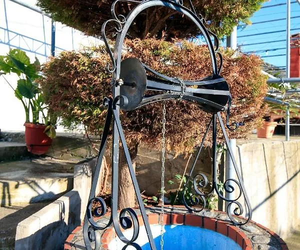 Daire Loridis View Prínos